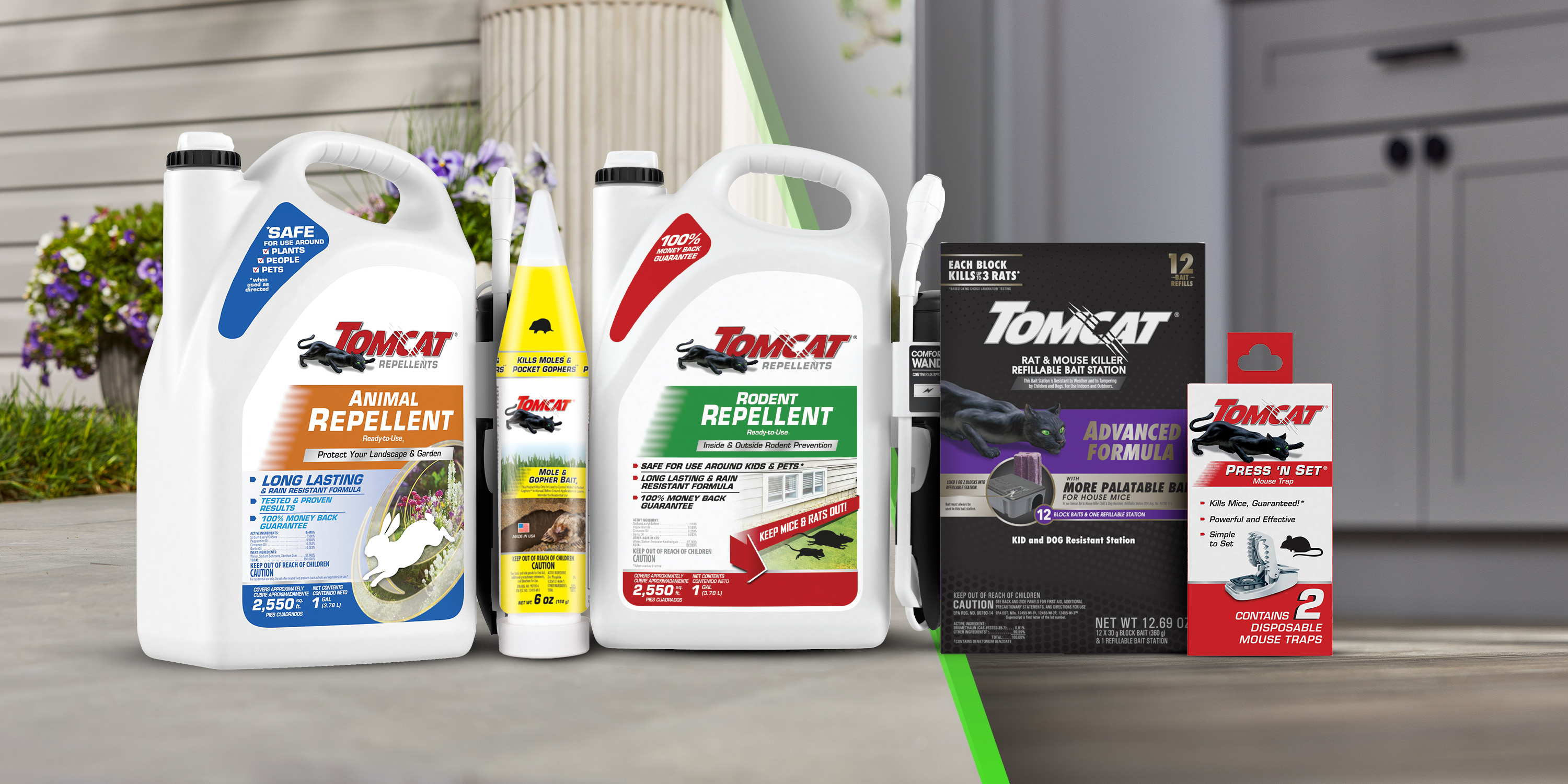 Reclaim Your Home and Yard